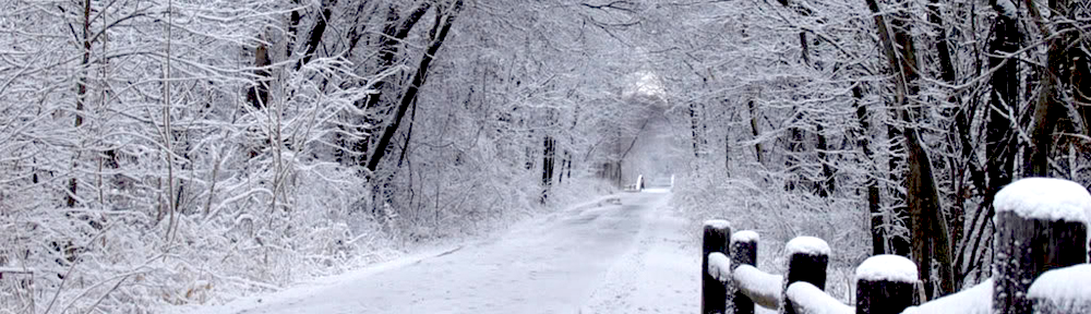 Whitehall Road