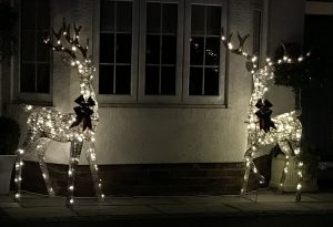 Christmas deer